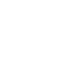 22pg icon