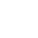 22pg icon