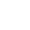 22pg icon
