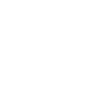 22pg icon