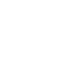 22pg icon