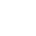 22pg icon
