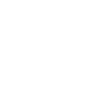 22pg icon